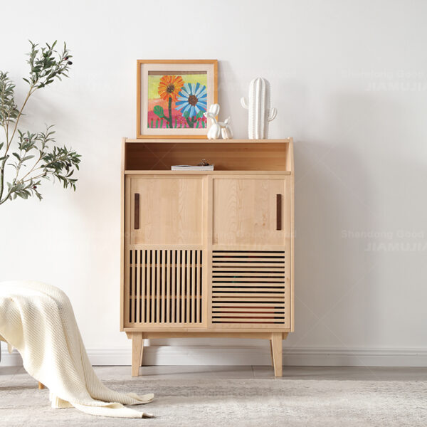 Shoe Storage Cabinet